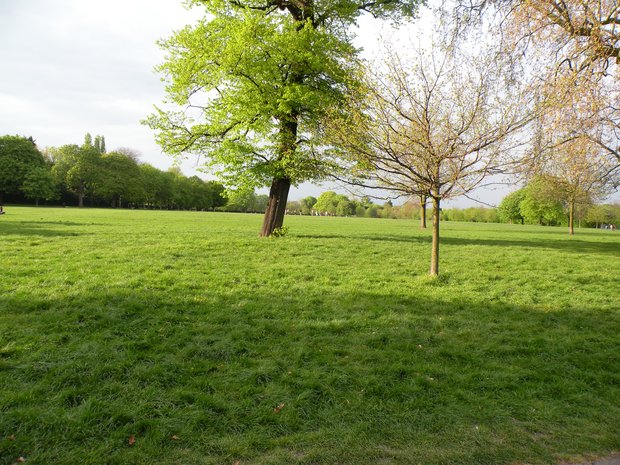  vaste étendue d'herbe, Regent's Park